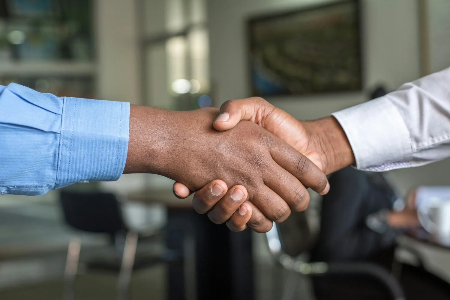 Two professionals shaking hands